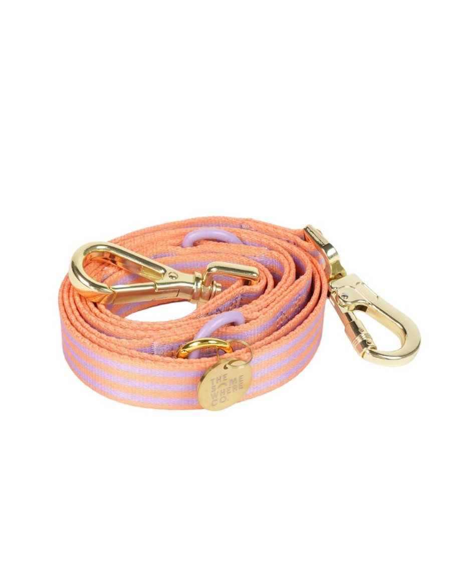 Pets The Somewhere Co | Lady Marmalade Pet Leash