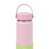 Lunch The Somewhere Co Water Bottles | Candy Apple Water Bottle 350Ml