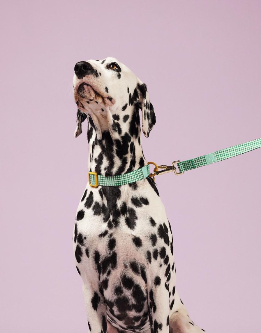 Pets The Somewhere Co | Marseille Pet Collar