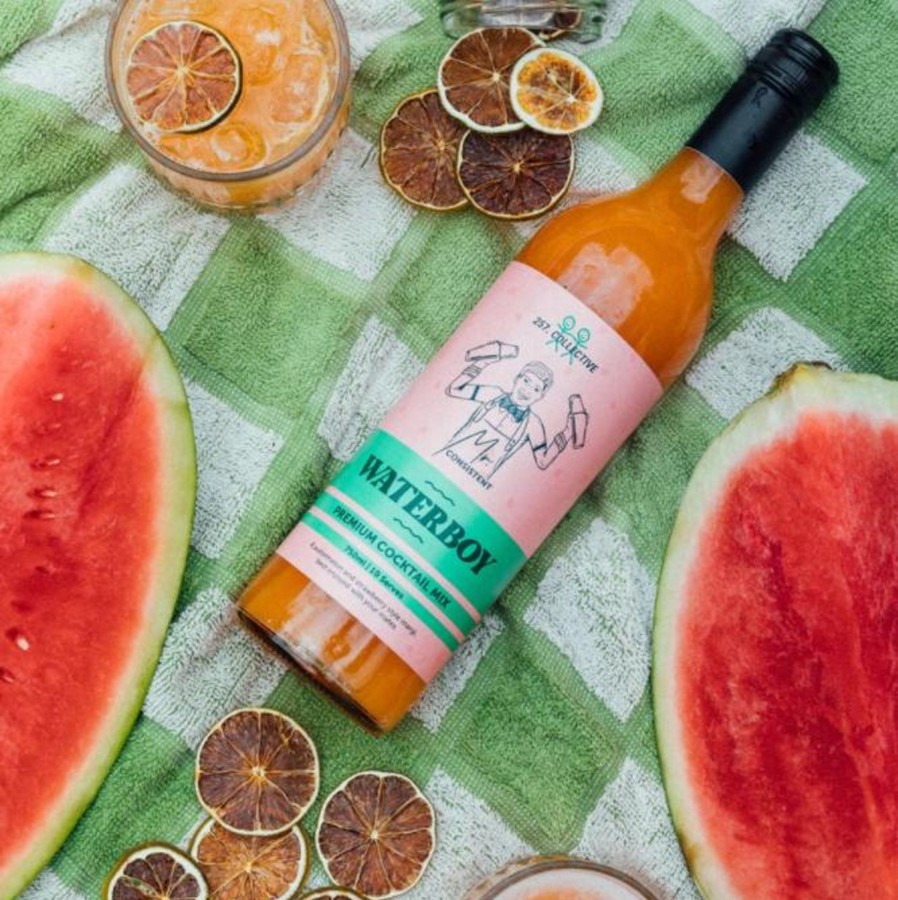 Picnic The Somewhere Co Cocktail Mixes | Watermelon Margarita Premium Cocktail Mix