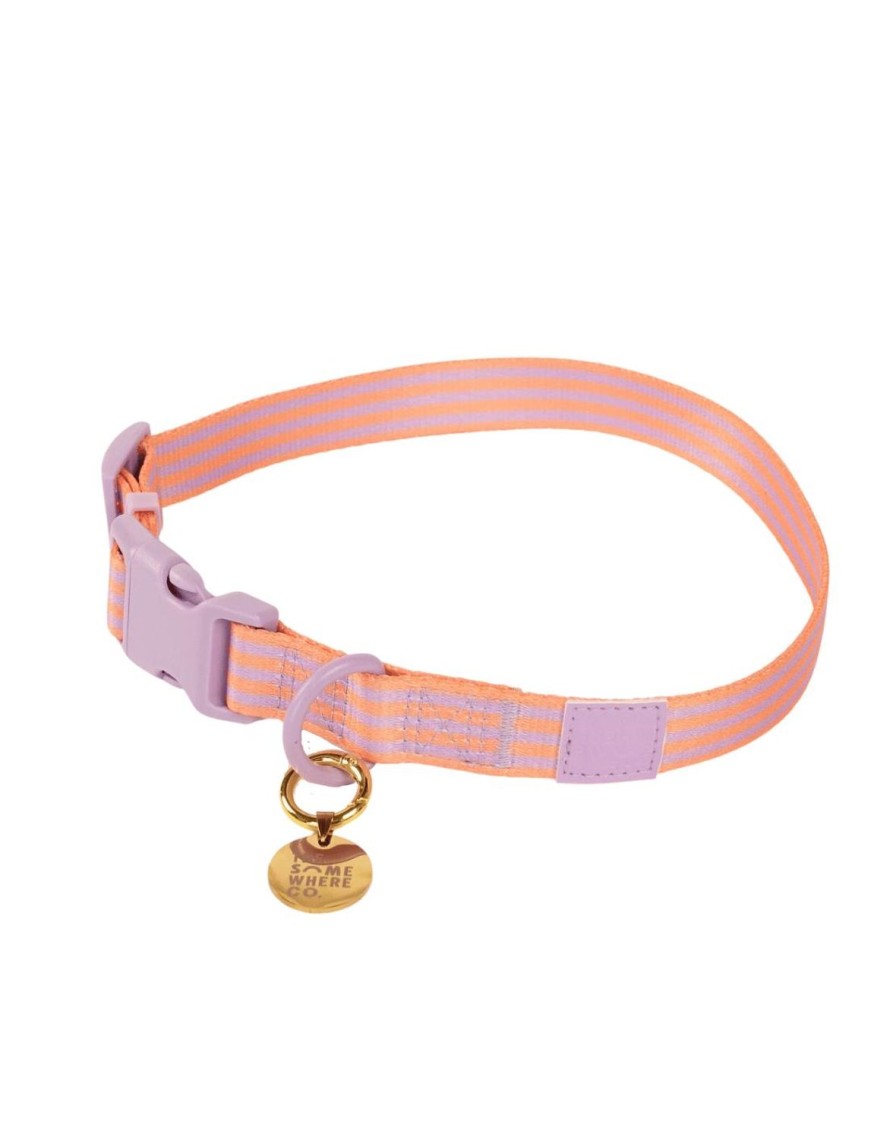 Pets The Somewhere Co | Lady Marmalade Pet Collar