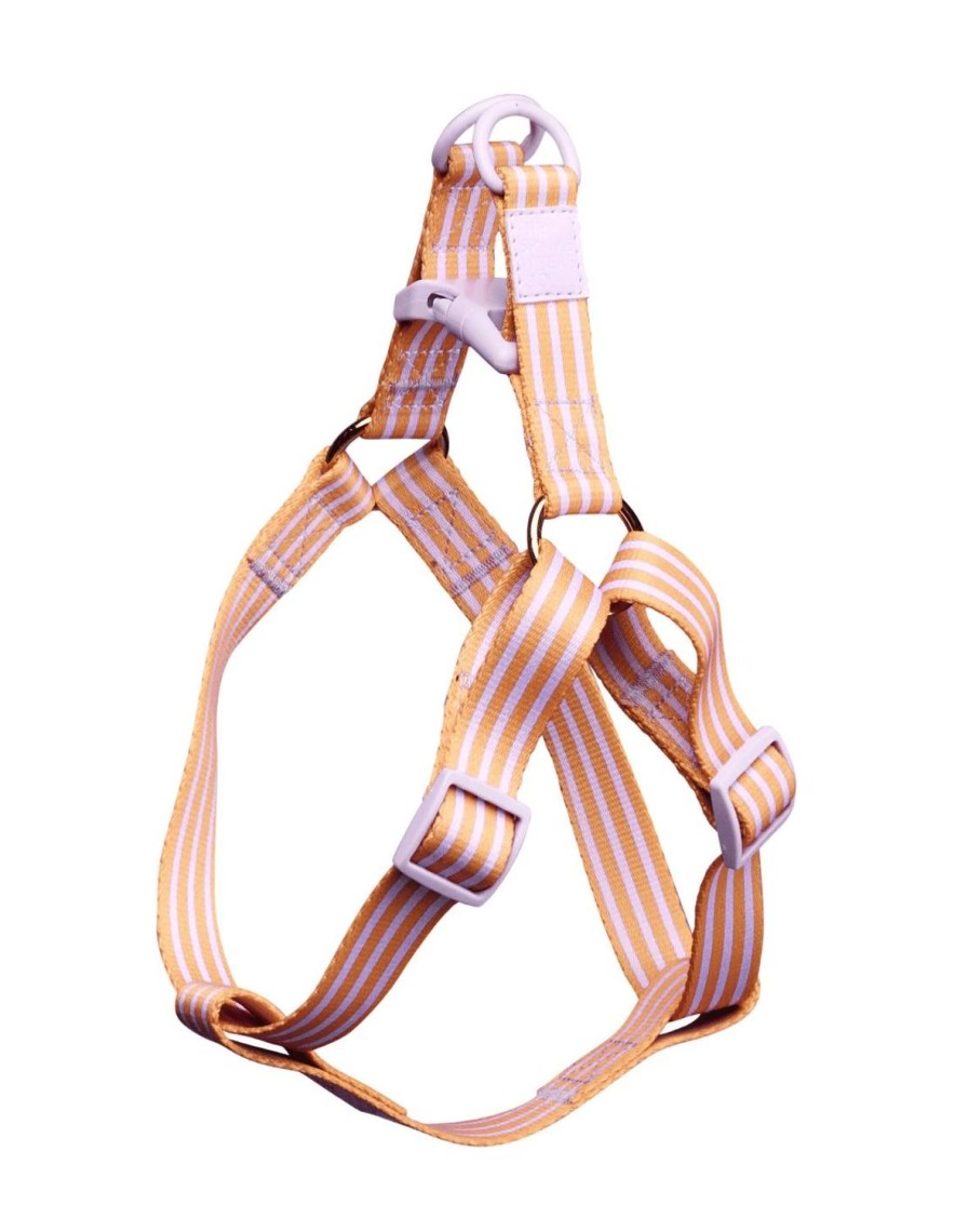 Pets The Somewhere Co | Lady Marmalade Pet Harness